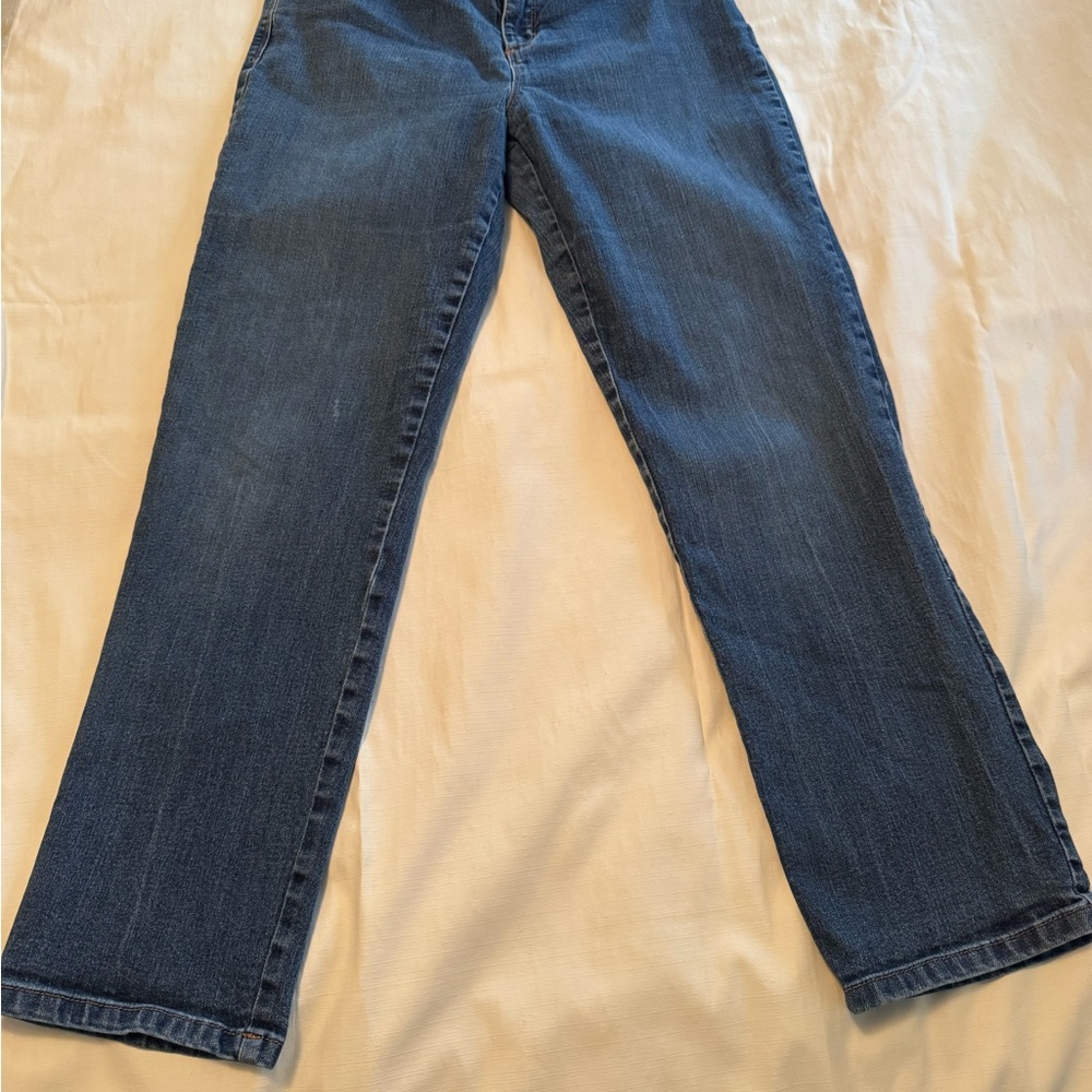 EUC! Gloria Vanderbilt Straight Leg Jeans in Blue Denim 10 Short - Picture 4 of 15